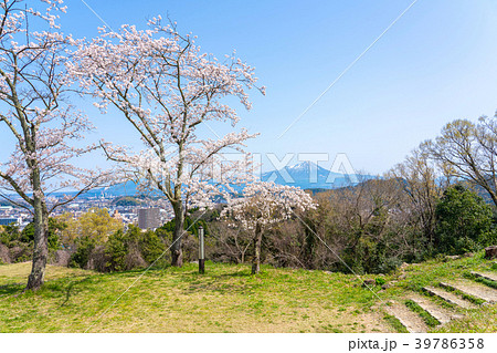 桜咲く春の米子城跡と大山 番所跡 桜咲く春の米子城跡と大山 番所跡 39786358