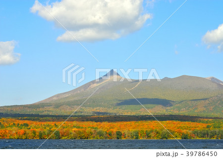 大沼公園　駒ヶ岳と紅葉と青空 39786450