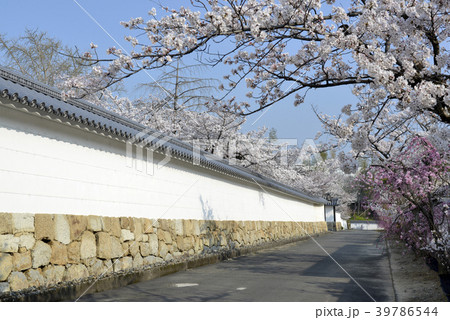 観修寺 39786544