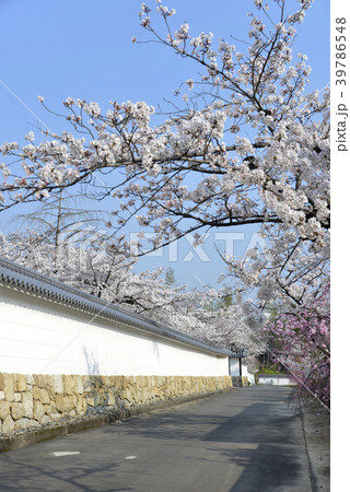 観修寺 39786548