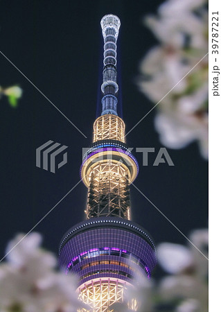 スカイツリーと桜 39787221