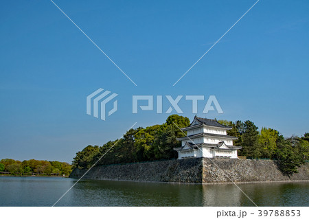 名城公園の春 名城公園の春 39788853