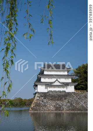 名城公園の春 名城公園の春 39788999