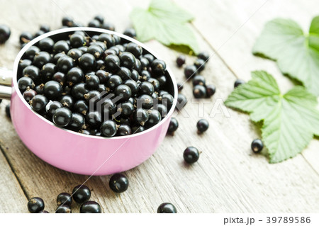 black currant crop black currant crop 39789586