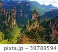 Zhangjiajie National Forest Park - China 39789594