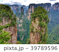 Zhangjiajie National Forest Park - China 39789596