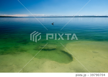 Yellowstone Lake, Wyoming, USA 39790704