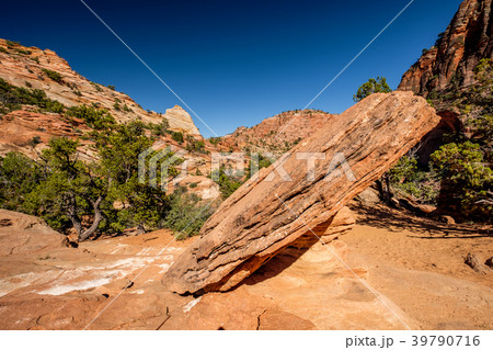 Landscape in Zion National Park 39790716