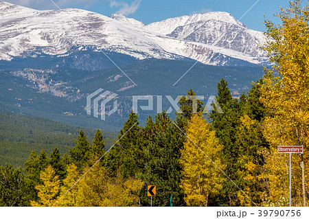 Season changing from autumn to winter Season changing from autumn to winter 39790756
