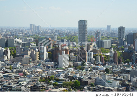 東京大学と上野公園 39791043