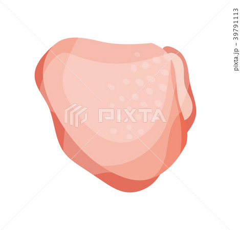 Raw chicken thigh, fresh meat concept vector 39791113