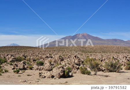 オラグエ火山 39791582