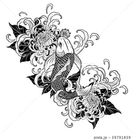 Koi Fish And Chrysanthemum Tattoo By Hand Drawing のイラスト素材