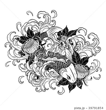 Koi Fish And Chrysanthemum Tattoo By Hand Drawing のイラスト素材