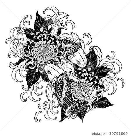 Koi Fish And Chrysanthemum Tattoo By Hand Drawing のイラスト素材