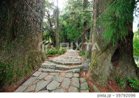 熊野古道　大門坂石畳 39792096