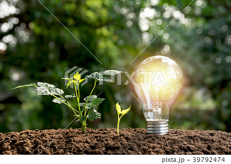 Light bulbs with glowing on ground. Idea Light bulbs with glowing on ground. Idea 39792474