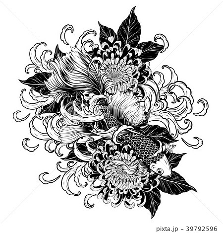 Koi Fish And Chrysanthemum Tattoo By Hand Drawing のイラスト素材
