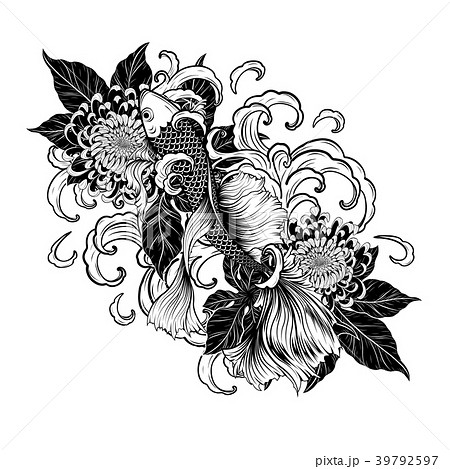 Koi Fish And Chrysanthemum Tattoo By Hand Drawing のイラスト素材