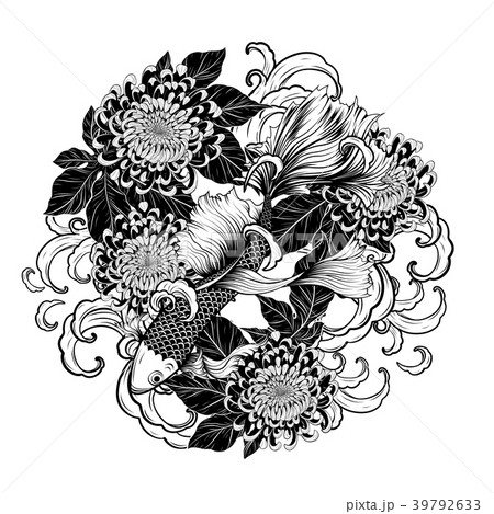 Koi Fish And Chrysanthemum Tattoo By Hand Drawing のイラスト素材