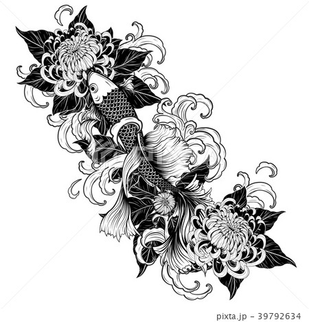 Koi Fish And Chrysanthemum Tattoo By Hand Drawing のイラスト素材