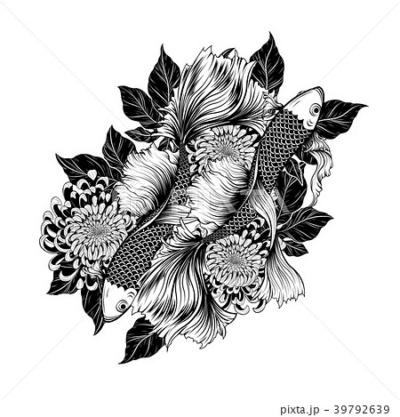 Koi Fish And Chrysanthemum Tattoo By Hand Drawing のイラスト素材