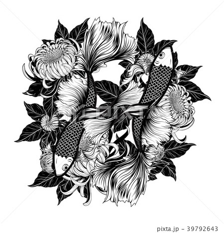 Koi Fish And Chrysanthemum Tattoo By Hand Drawing のイラスト素材