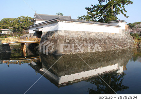 春の小田原城 39792804