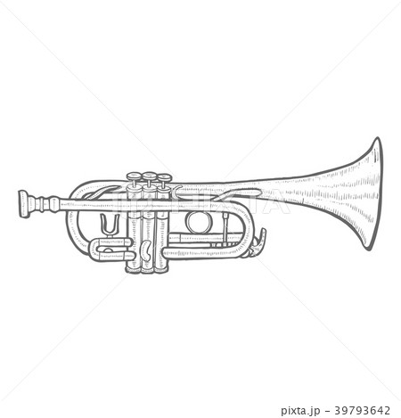 Trumpet in Hand-Drawn Style 39793642