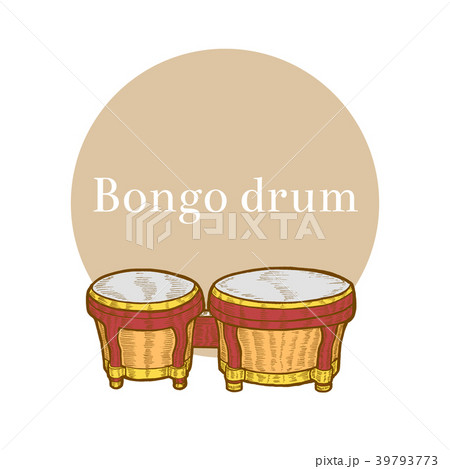 Colored Bongo in Hand-Drawn Style 39793773