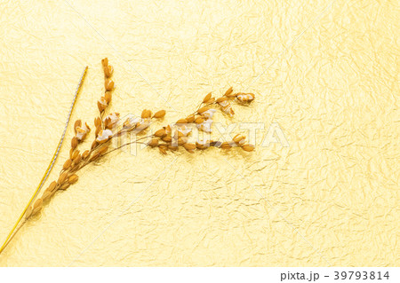 稲穂　稲穂咲く　料理飾り　もみがみ砂子振の金色和紙バック 39793814