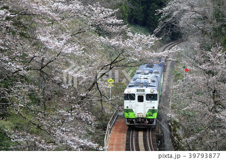 春の只見線 39793877