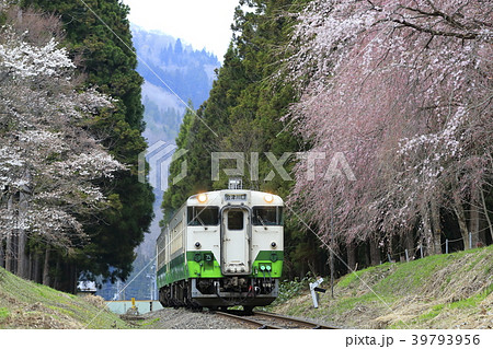 春の只見線 春の只見線 39793956