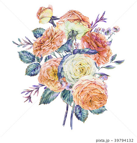 Vintage watercolor pink english roses 39794132