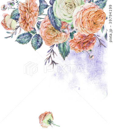 Watercolor vertical frame with english roses Watercolor vertical frame with english roses 39794199