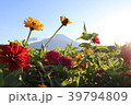 富士山とお花 39794809