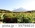 青空と富士山 39794810