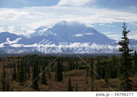デナリ国立公園、アラスカ、アメリカ デナリ国立公園、アラスカ、アメリカ 39796277