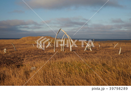 モニュメント、ポイント・ホープ、アラスカ、アメリカ 39798289