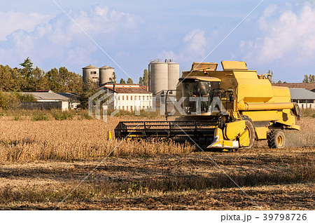Harvesting of soybean field with combine harvester. Harvesting of soybean field with combine harvester. 39798726