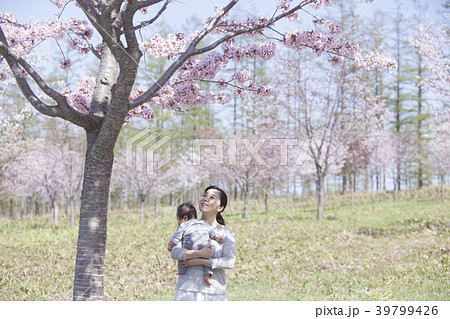桜の下の親子 39799426