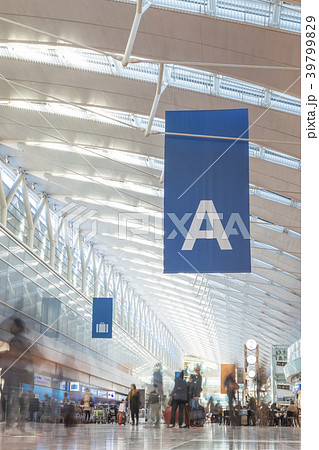 【羽田空港　第2旅客ターミナル】 39799829