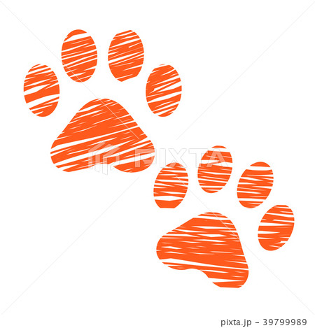 Sketched cat footprints, stylized scratched cat 39799989