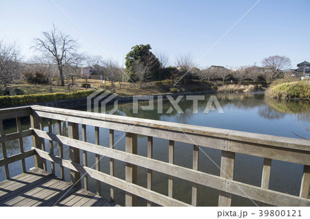 神奈川県秦野市　今泉名水桜公園 39800121