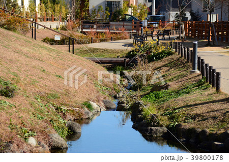 今泉あらい湧水公園 神奈川県秦野市 今泉あらい湧水公園 神奈川県秦野市 39800178