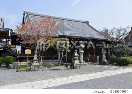 正浄華院　大方丈 39800994