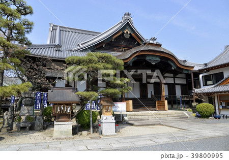 正浄華院　御影堂 39800995