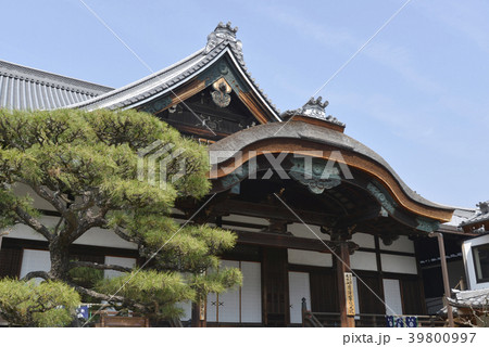 正浄華院　御影堂 39800997