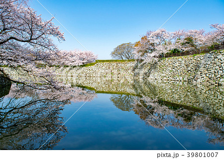 春の姫路城 内掘 39801007