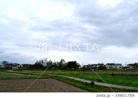 田園地帯 39801769